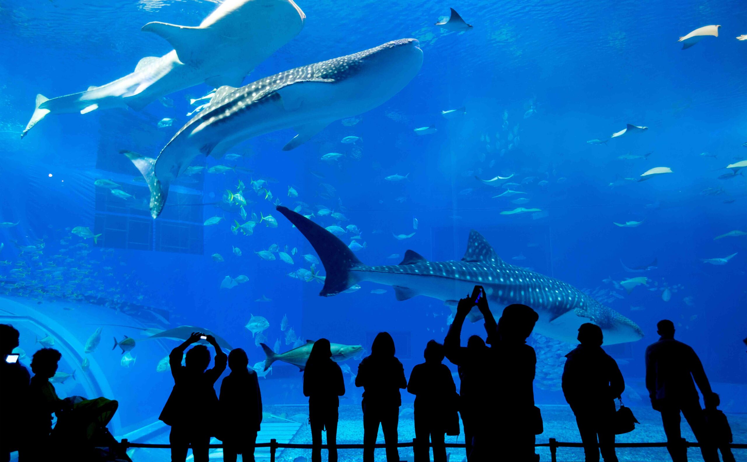 Acuario Michin Guadalajara