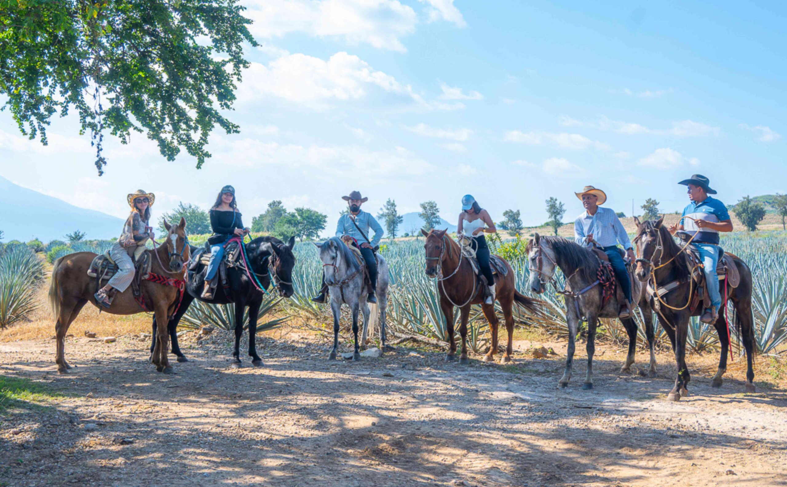 Paquetes de Despedida en Jalisco