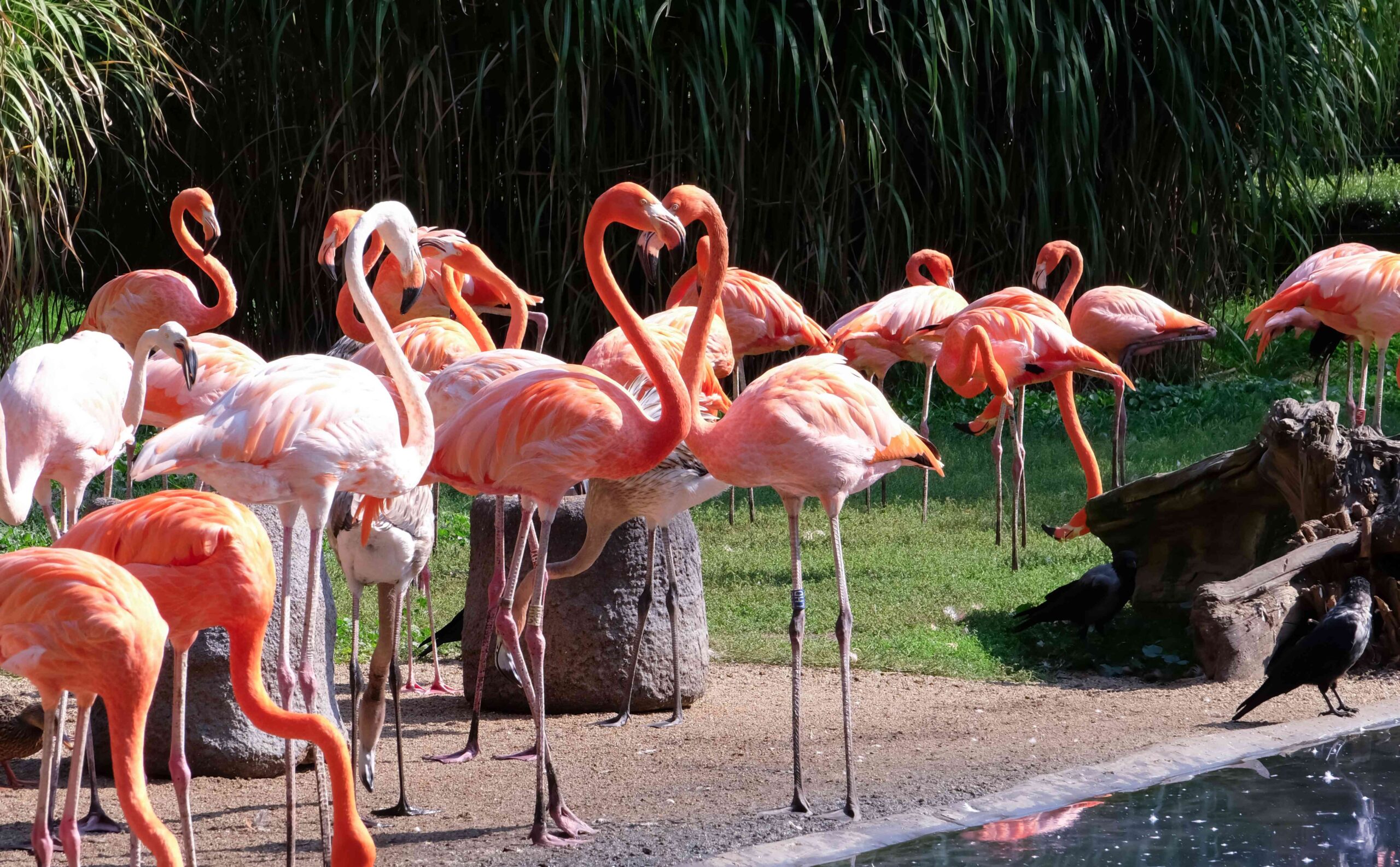 Destinos Educativos en Jalisco