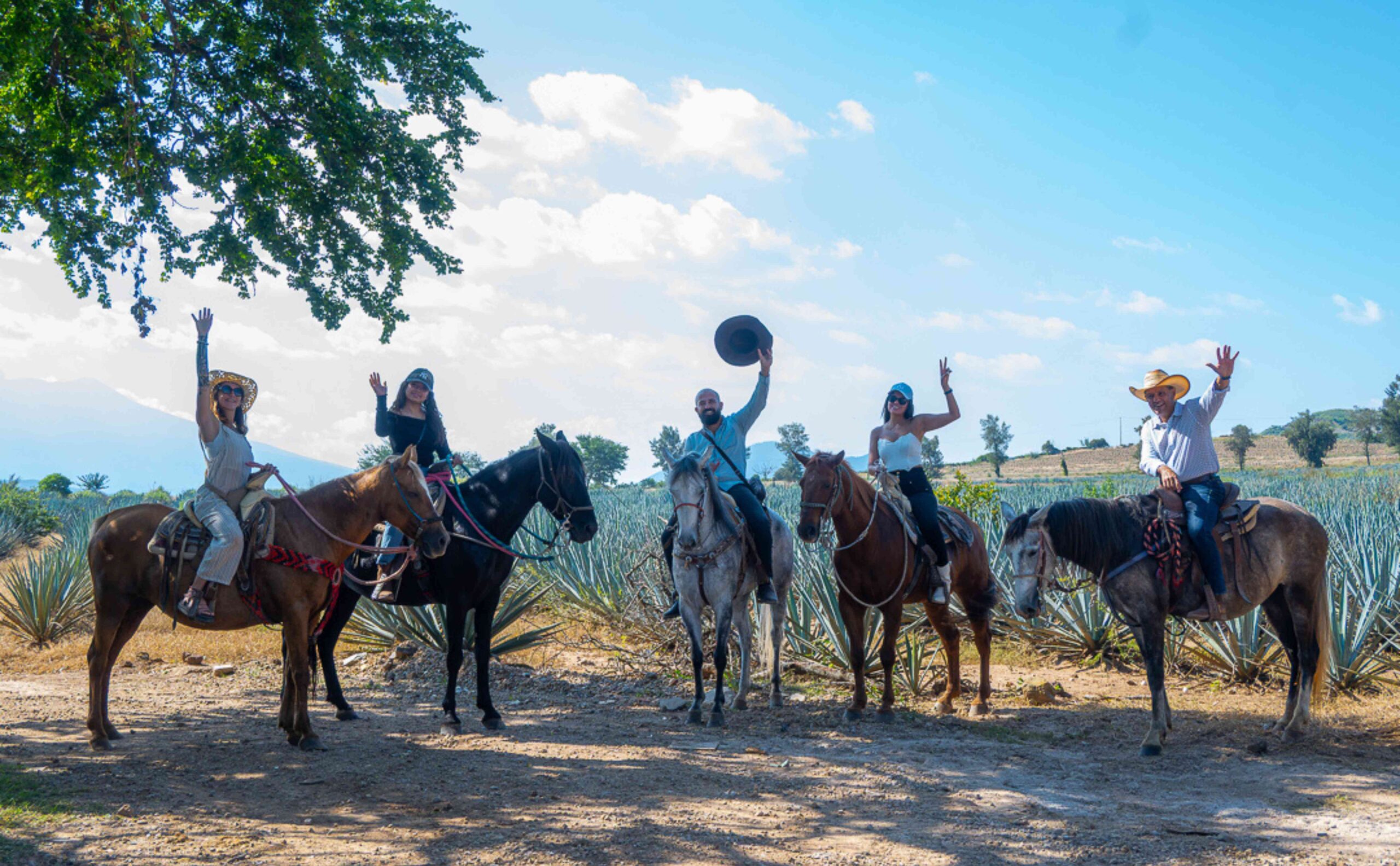 Cabalgata Privada En Tequila