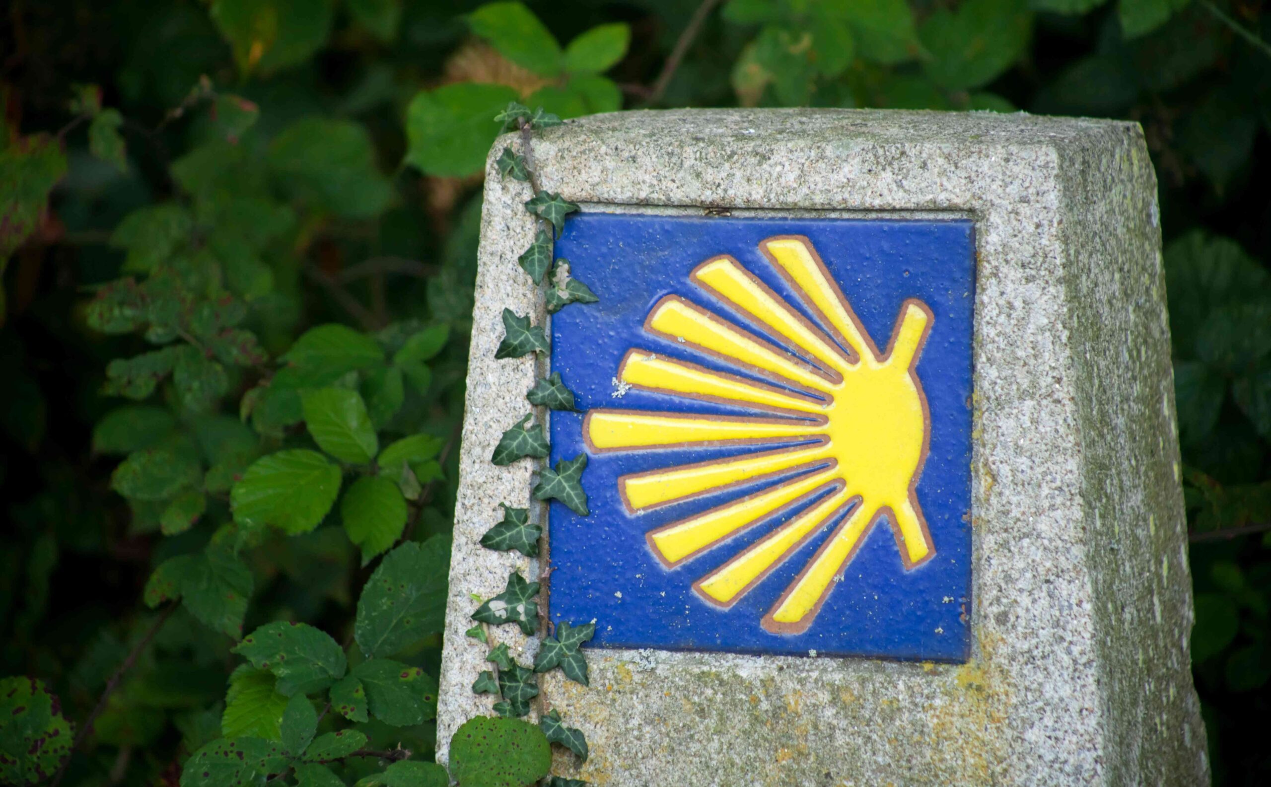 Peregrinos en el Camino Portugués