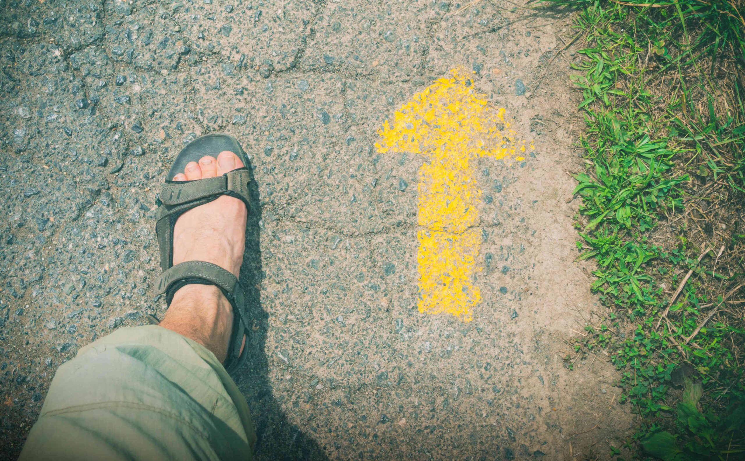 Peregrinos en el Camino