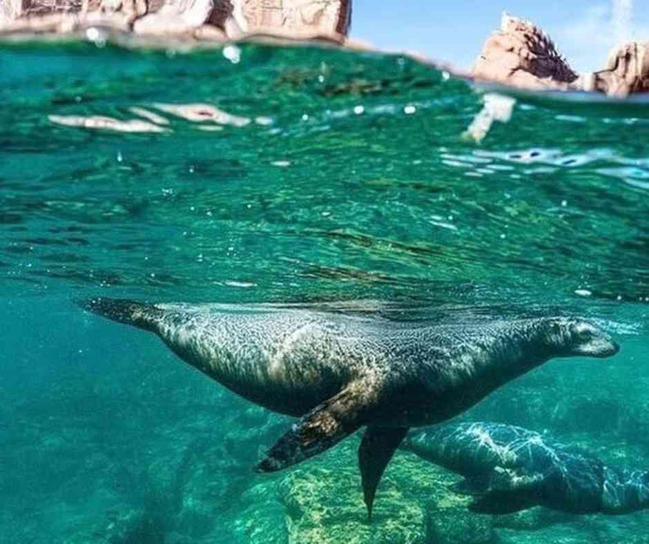 Viaje La Paz 4 días