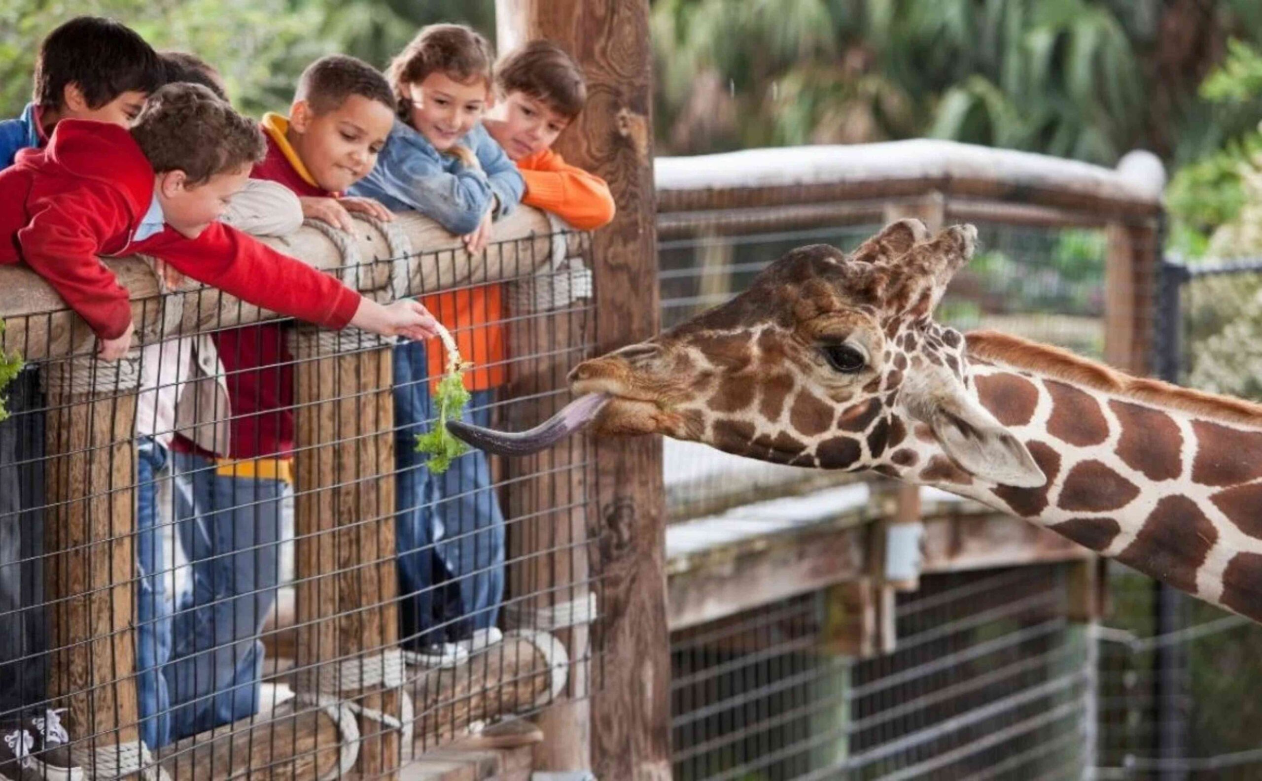 Zoológico Guadalajara