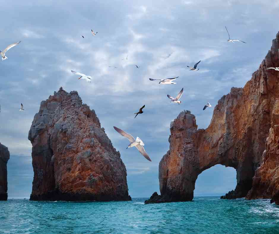 Los Cabos