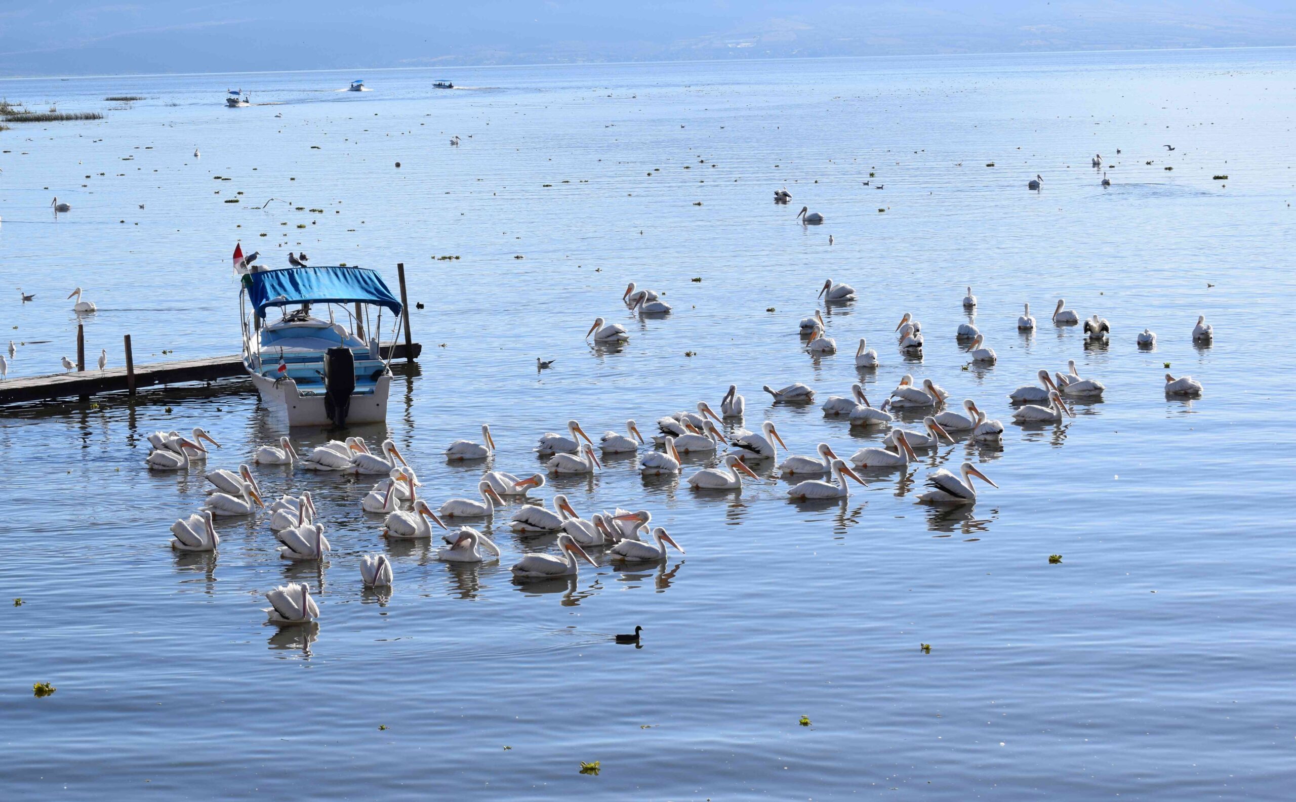 Zoológico Guadalajara