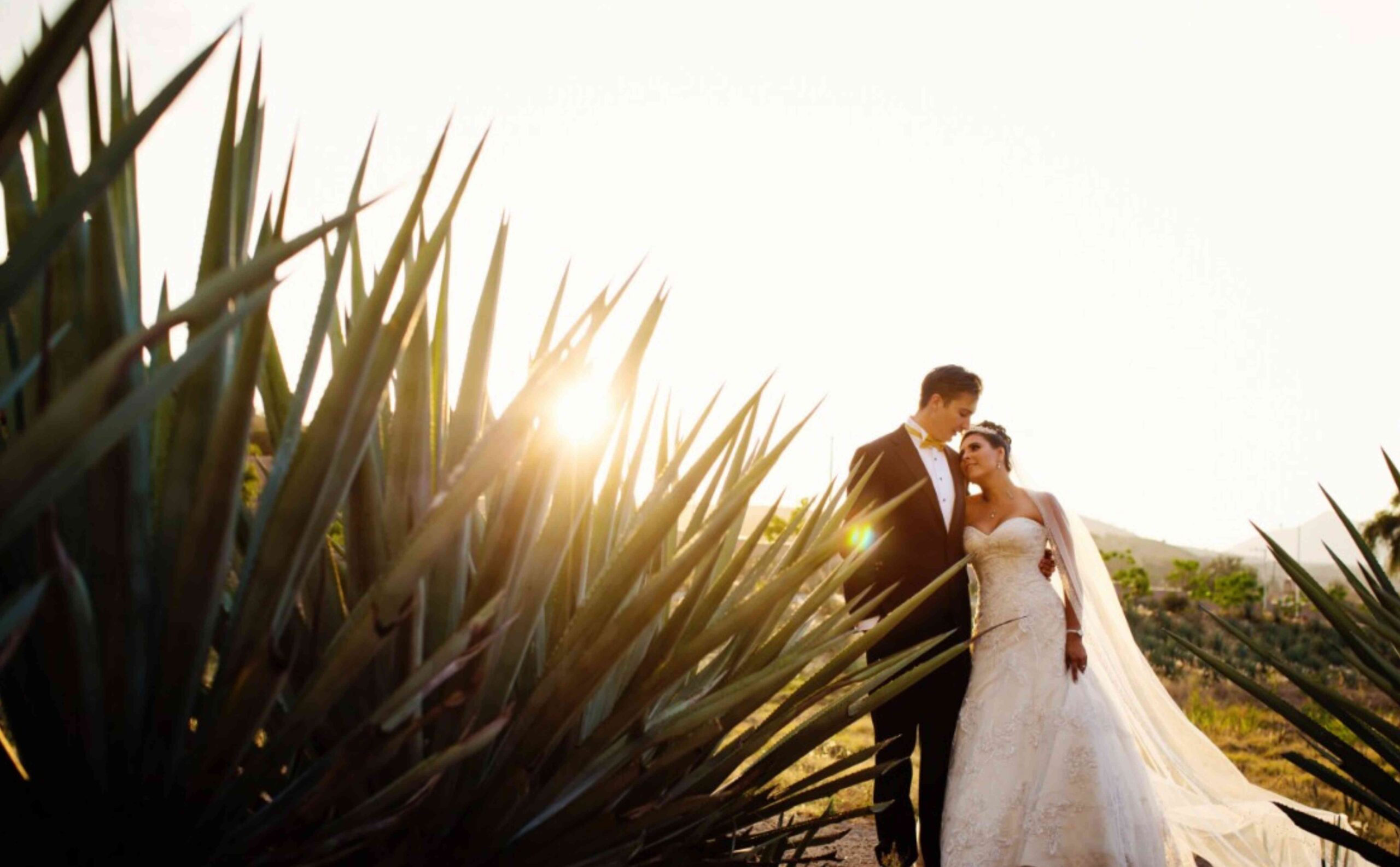 El Susurro Del Agave - Boda en Tequila